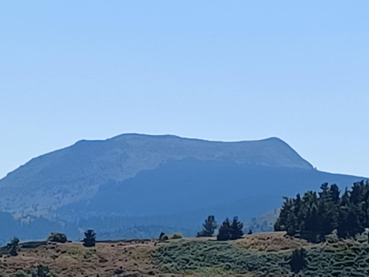 Gite Aurives Le Cheylard Buitenkant foto